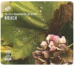 The Royal Philharmonic Orchestra Bruch (SACD) Серия: The Royal Philharmonic Collection инфо 13793z.